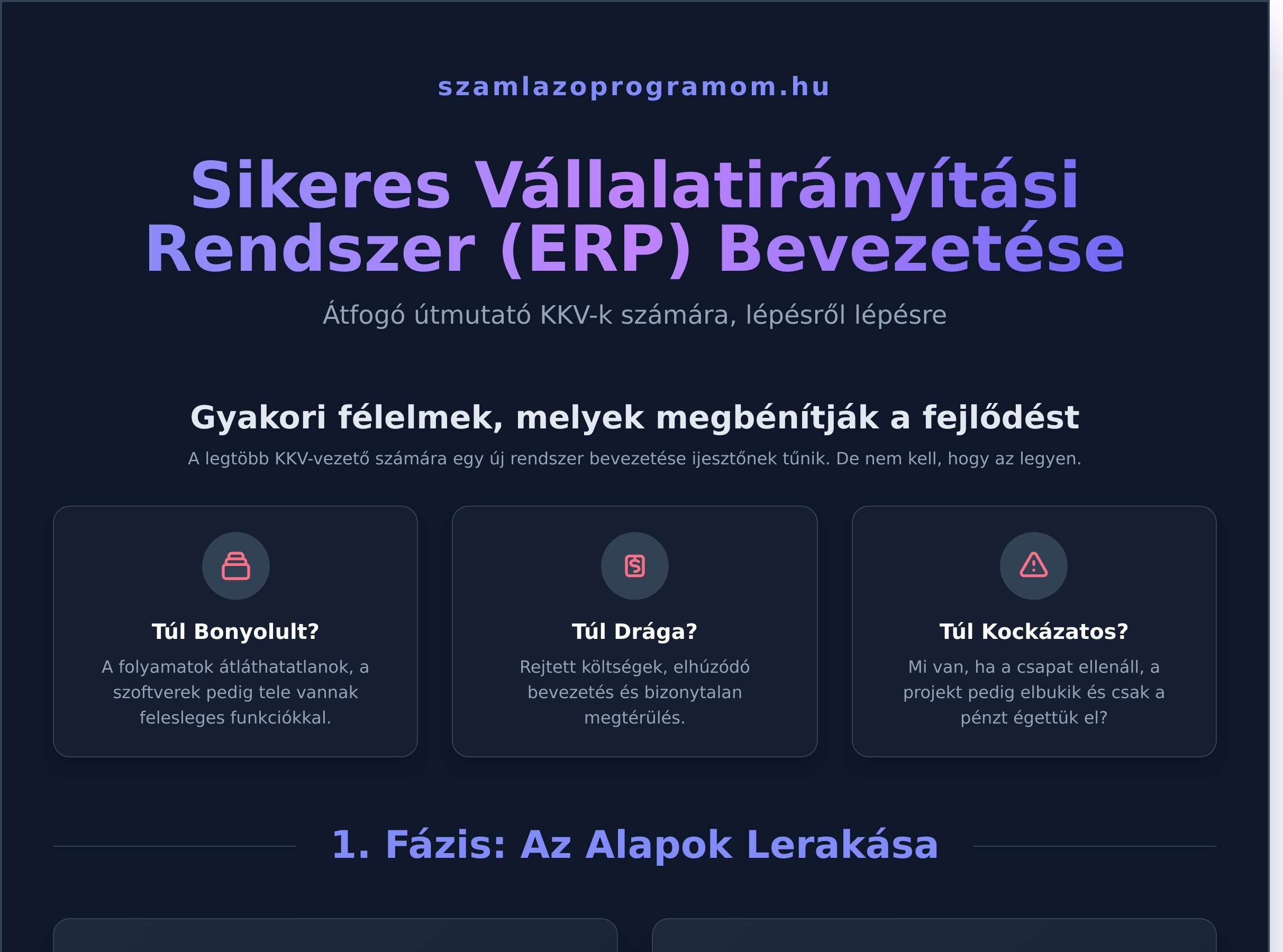 Vállalatirányítási rendszer bevezetése: A KKV-k teljes útmutatója - Infographic