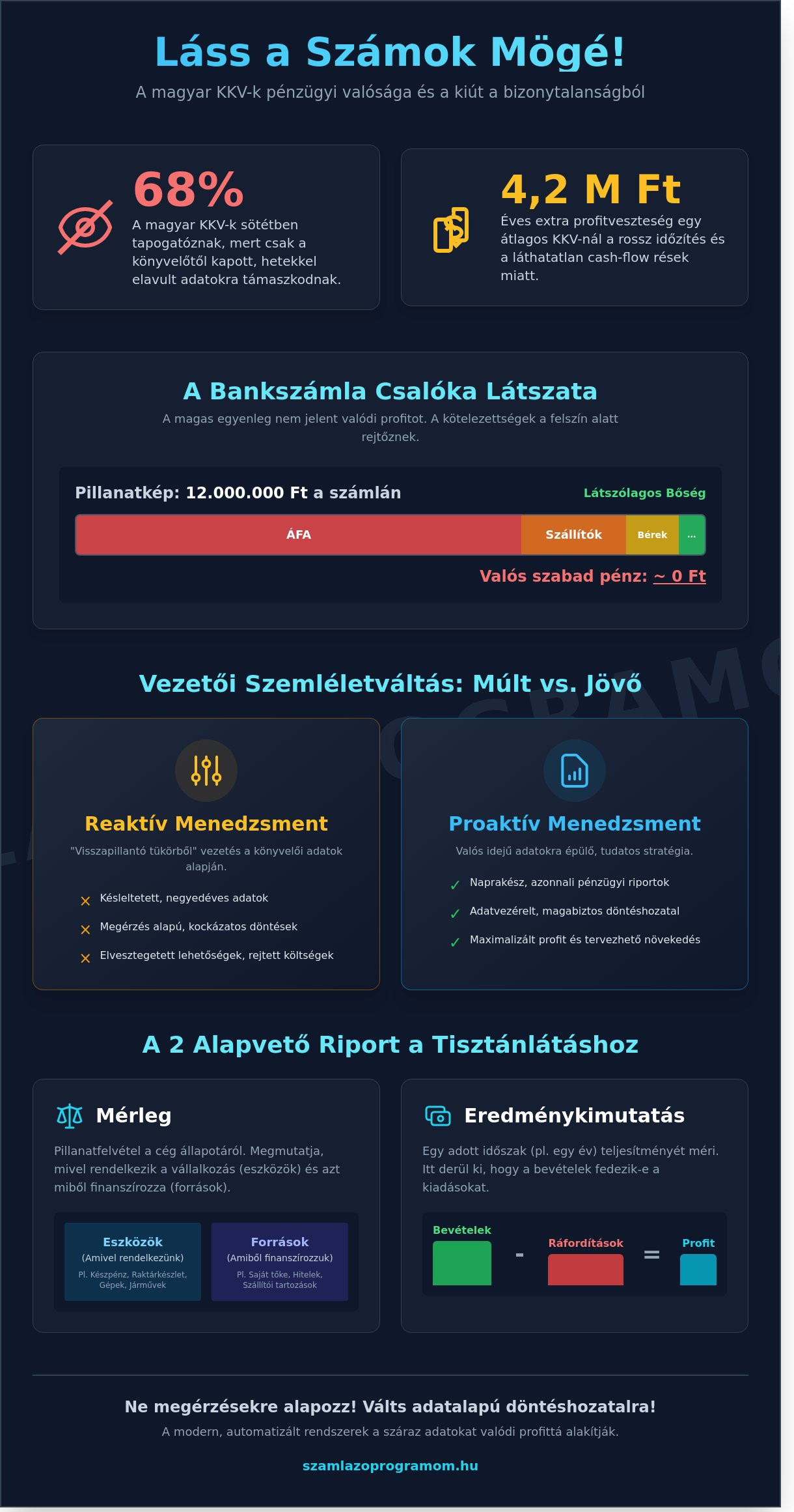 Pénzügyi kimutatás: Útmutató KKV-knak a tudatos üzleti döntésekhez 2026-ban - Infographic